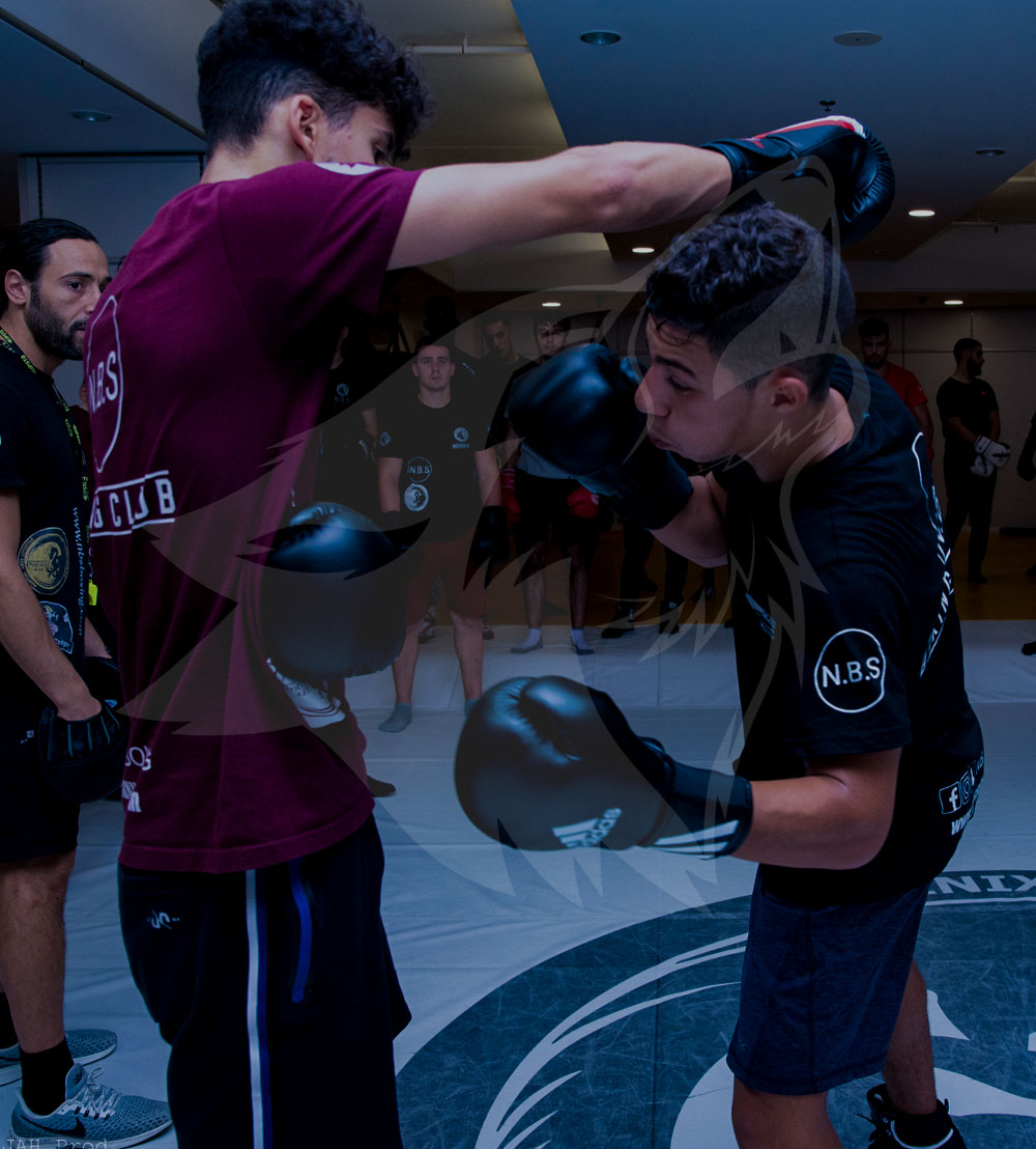cours-de-boxe