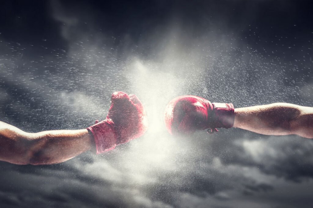 boxe anglaise categorie