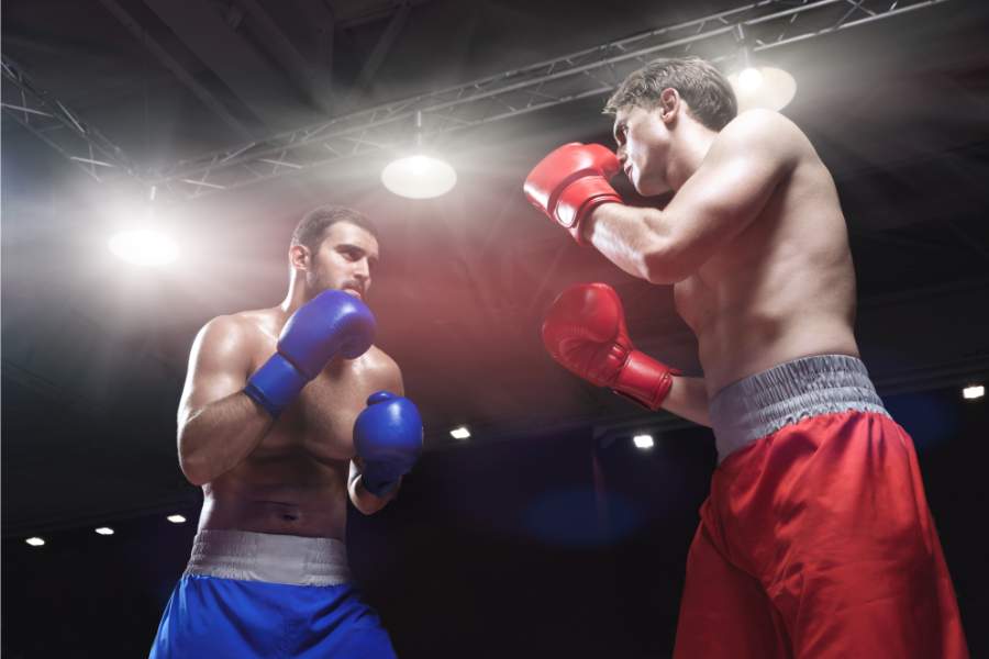 champion de boxe en belgique