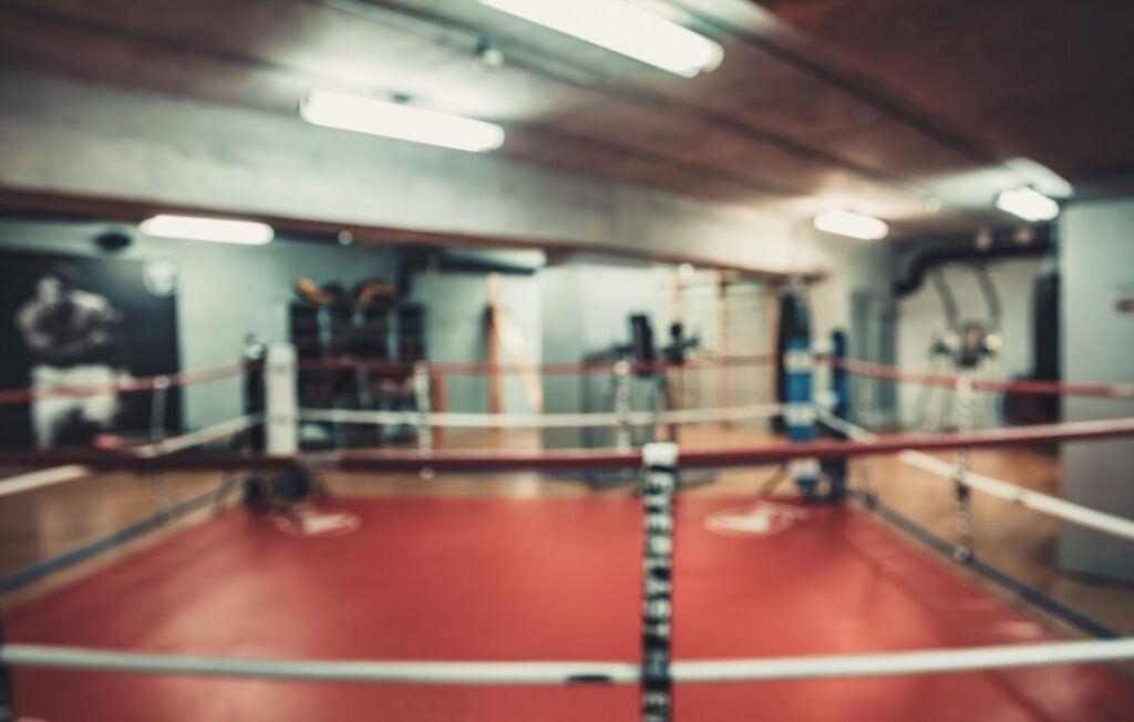 Andy Ruiz Jr Prochain Combat
