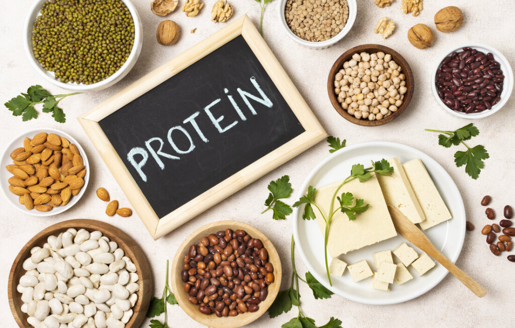 alimentation riche en protéines